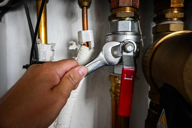 Best Commercial Plumbing Services  in Moss Point, MS